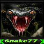 snake77